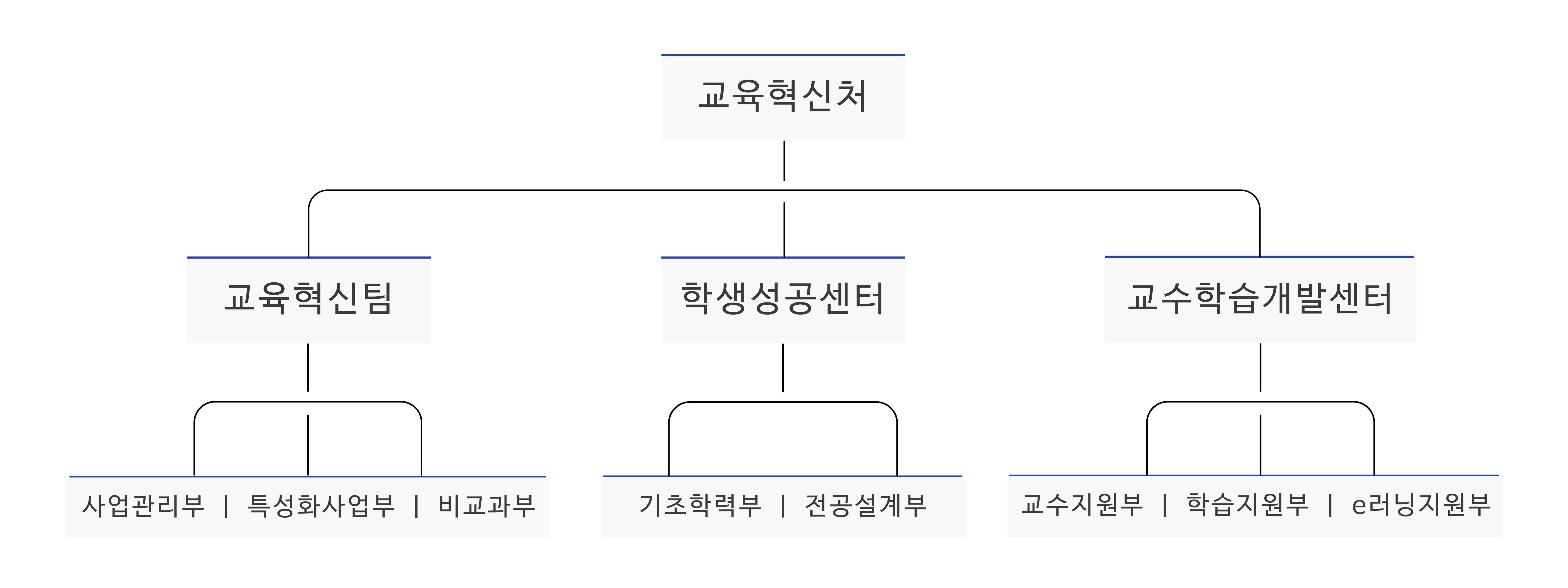 대학혁신지원사업 운영 조직도이며, 교육혁신처 산하 교육혁신팀, 학생성공센터, 교수학습개발센터로 구성되어 있습니다.